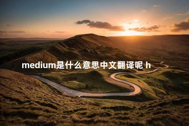 medium是什么意思中文翻译呢 heavy怎么读英文怎么说